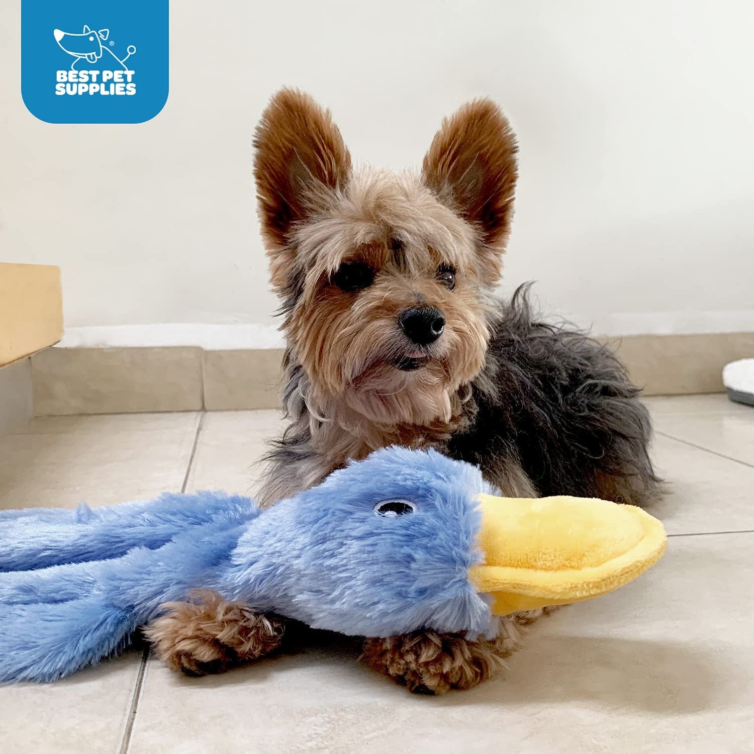 Interactive Squeaky Dog Chew Toy, Ideal Dog Toys for Chewers, Small, Medium & Large Dogs, and Fetch Lovers - Crinkle Duck (Yellow), Large