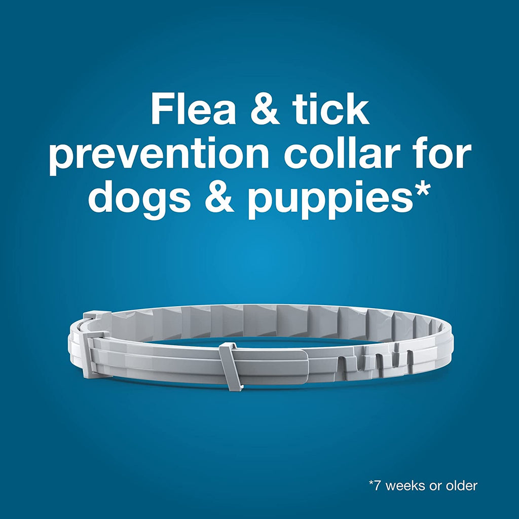 Seresto Flea & Tick Collar for Dogs over 18 Lbs., Treatment & Prevention, Vet-Recommend, 8 Month Protection