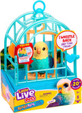My Really Real Talking Bird Toy & Cage - Indie, Interactive Voice Repeating Toy, 20+ Sounds & Reactions, Talking Toys for Kids 5-7