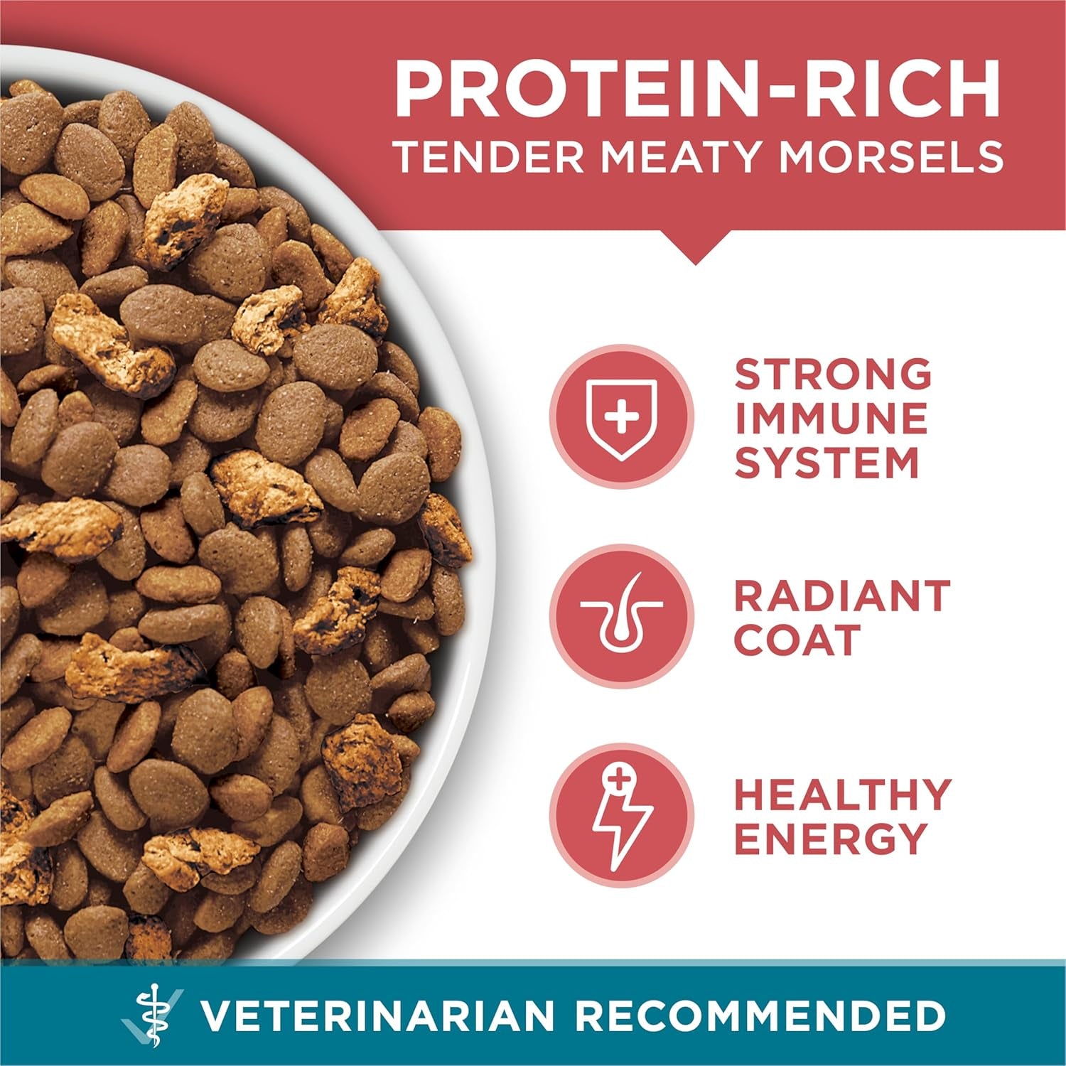 Natural Dry Cat Food, Tender Selects Blend with Real Salmon - 7 Lb. Bag