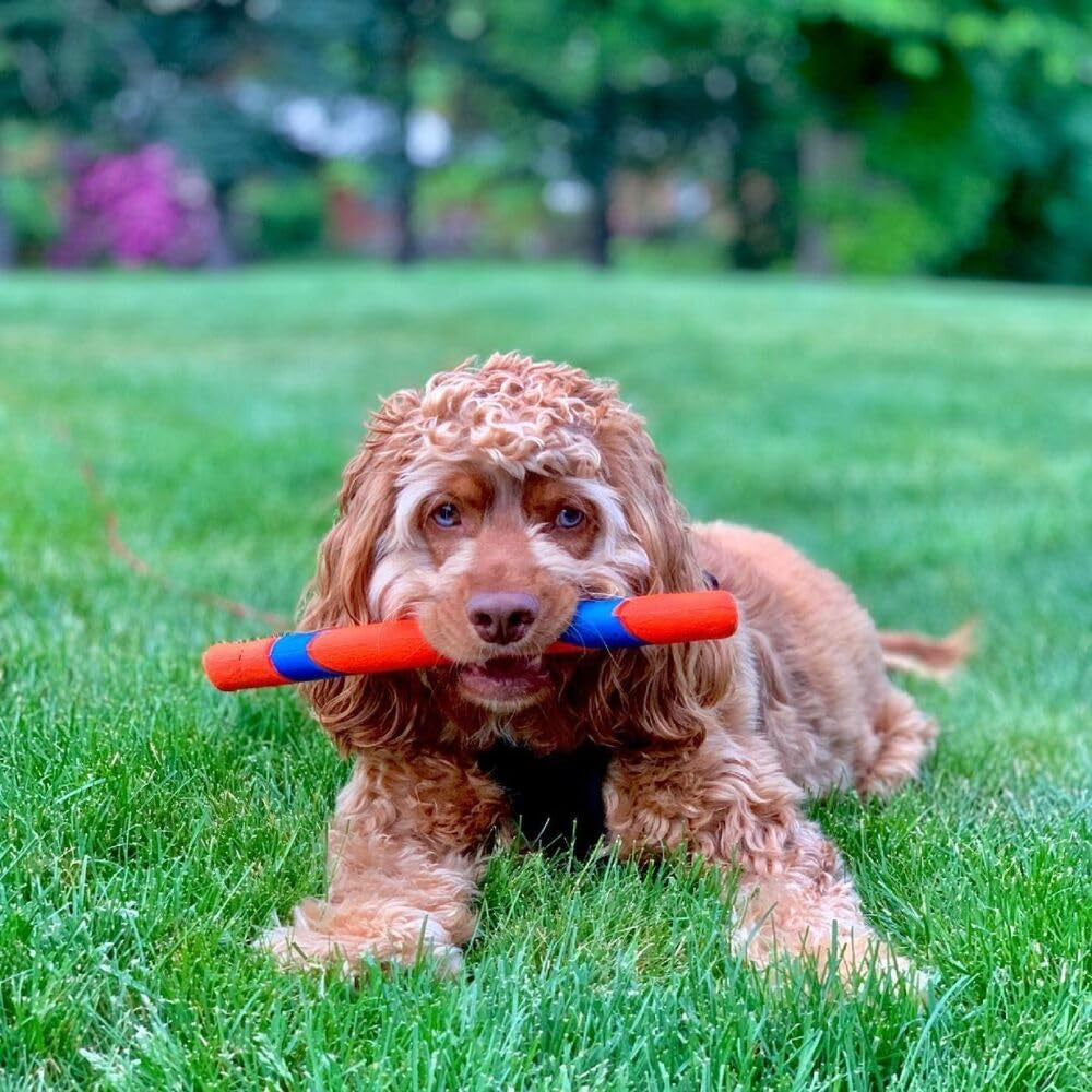 Interactive Dog Toy Ultra Fetch Stick - 12 Inch Outdoor Dog Toy for All Breed Sizes