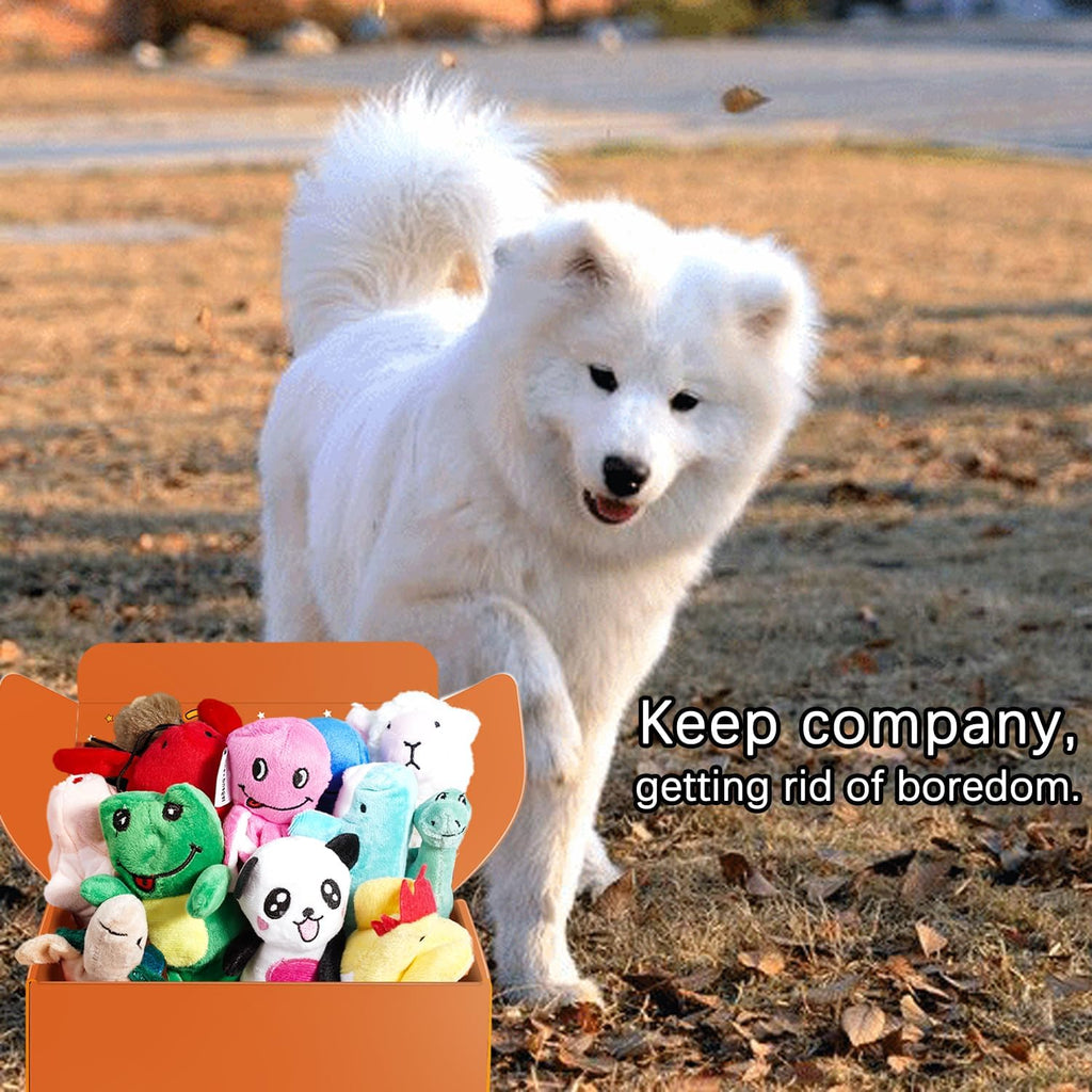 Squeaky Plush Dog Toy Pack for Puppy, Small Stuffed Puppy Chew Toys 12 Dog Toys Bulk with Squeakers, Cute Soft Pet Toy for Small Medium Size Dogs