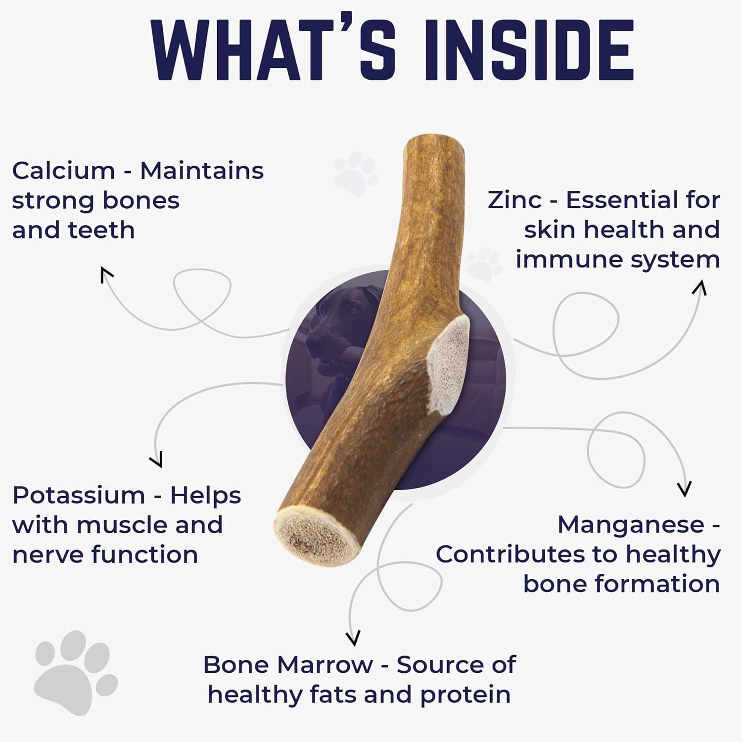 . Elk Antlers for Dogs, Natural Dog Chew for Aggressive Chewers - Long Lasting and Odor Free - USA Sourced - Cleaner Teeth, Anxiety & Boredom Relief - Whole Medium 5"+ - Antler Bone
