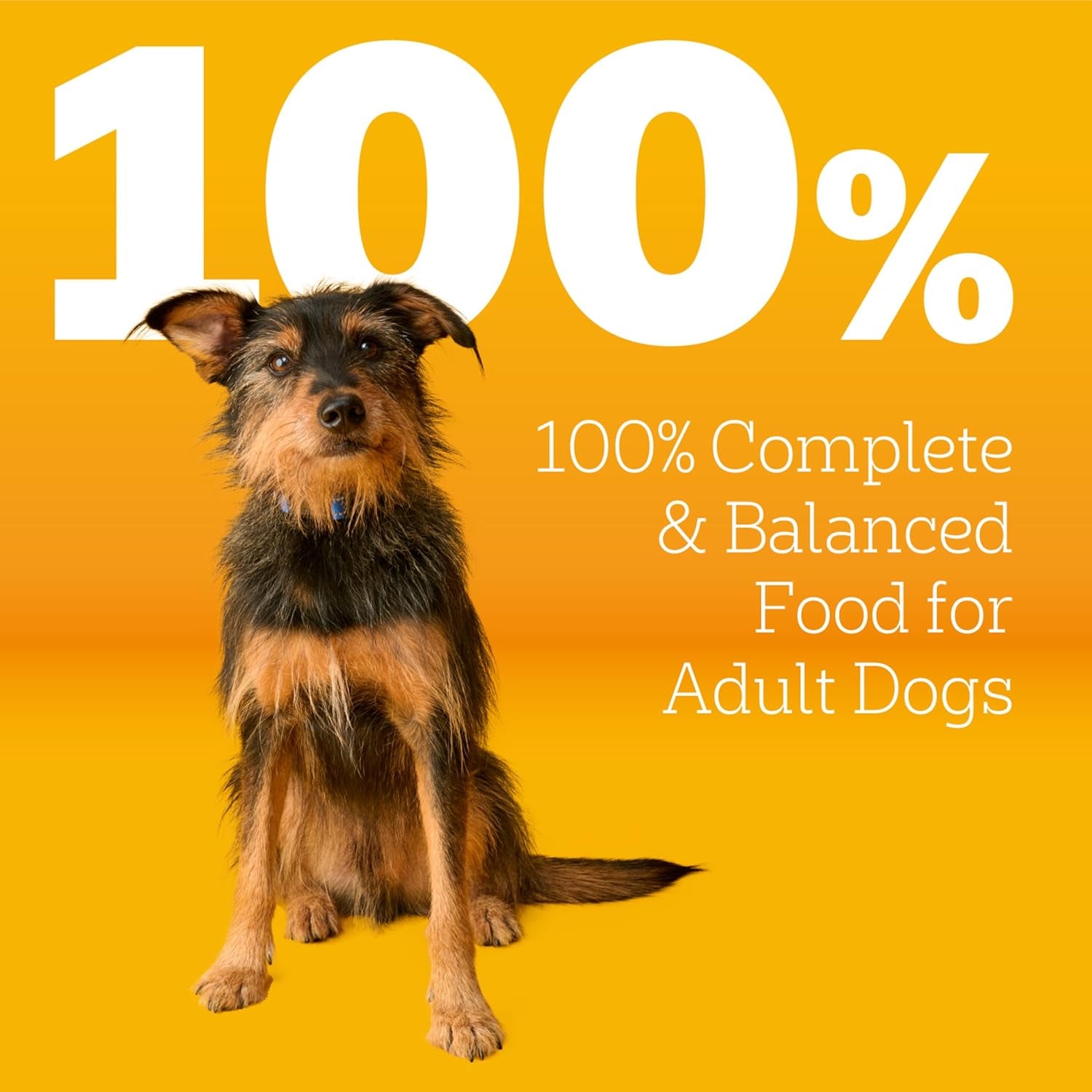 Pedigree Adult Dry Dog Food, Complete Nutrition, Grilled Steak & Vegetable Flavor, 18 Lb. Bag