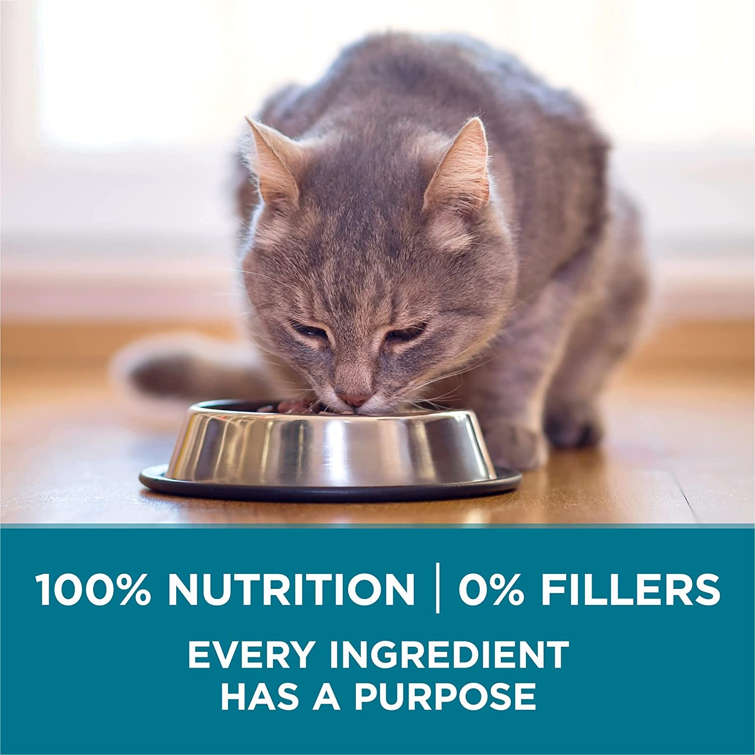 Natural Dry Cat Food, Tender Selects Blend with Real Salmon - 7 Lb. Bag