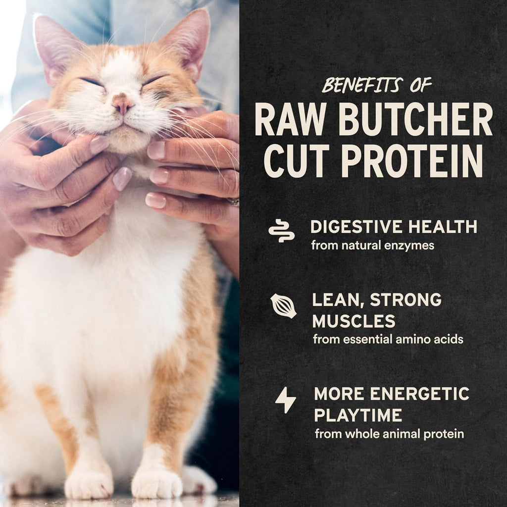 Freeze Dried Minnows Cat Treats | Single Ingredient | Premium Quality | Grain Free, Healthy Treats for Cats, 0.5 Oz Bag