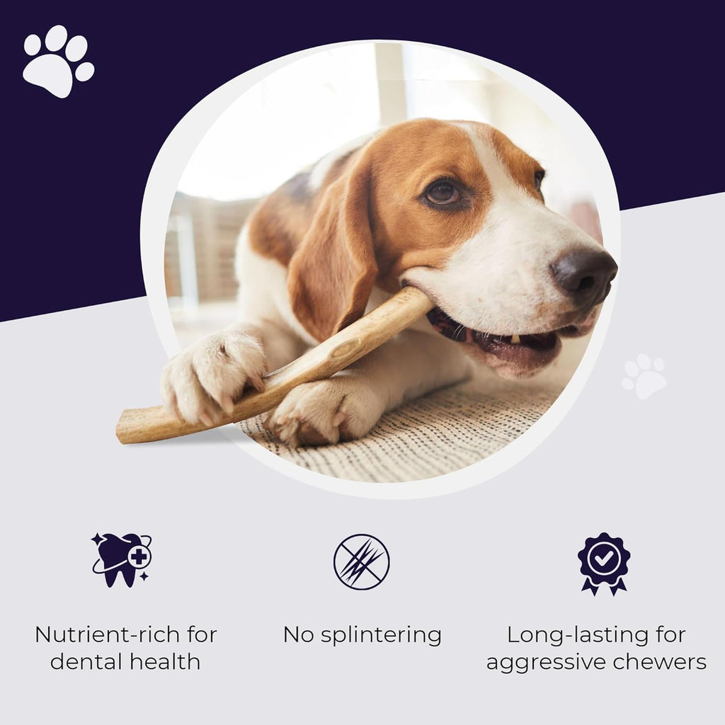 . Elk Antlers for Dogs, Natural Dog Chew for Aggressive Chewers - Long Lasting and Odor Free - USA Sourced - Cleaner Teeth, Anxiety & Boredom Relief - Whole Medium 5"+ - Antler Bone